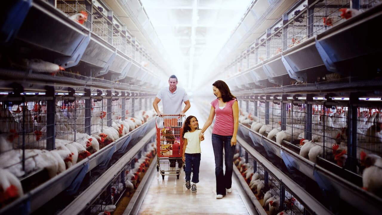 Cena de Contaminação: A Verdade Sobre o que Comemos