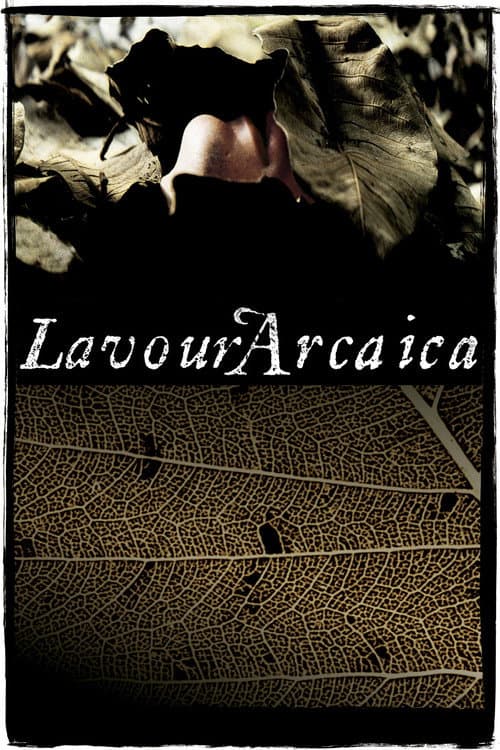 Pôster de Lavoura Arcaica