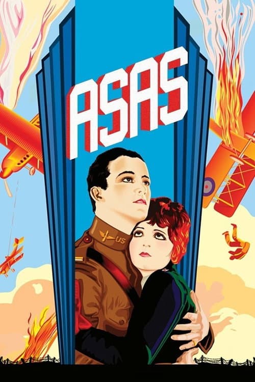 Pôster de Asas