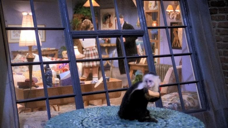 Cena de Aquele em Que o Macaco Foge