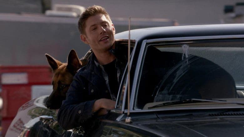 Cena de Dean e Um Dia de Cão