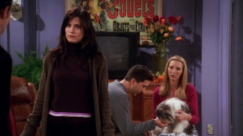 Cena de Aquele em que Chandler não gosta de cachorros