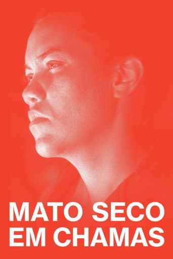Pôster de Mato Seco em Chamas
