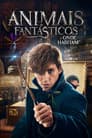 Pôster de Animais Fantásticos e Onde Habitam